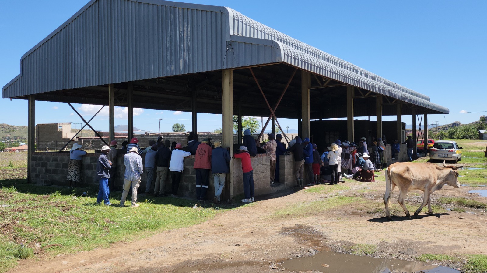 Community pitso gathering in Lesotho